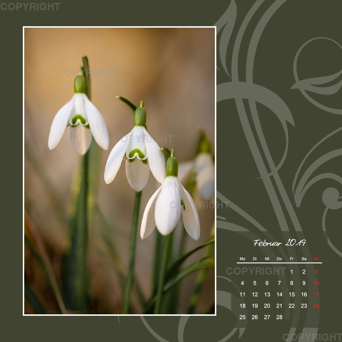 Fotokalender / Gartenzauber, 2019