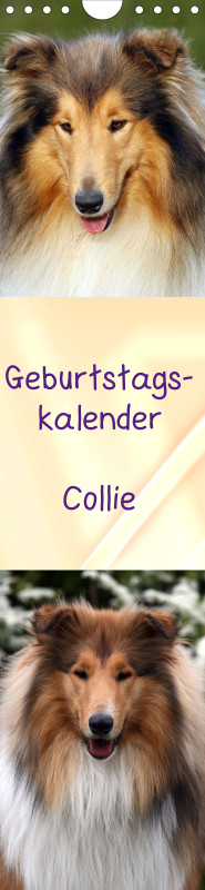 Geburtstagskalender Collie