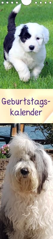 Geburtstagskalender Bobtail