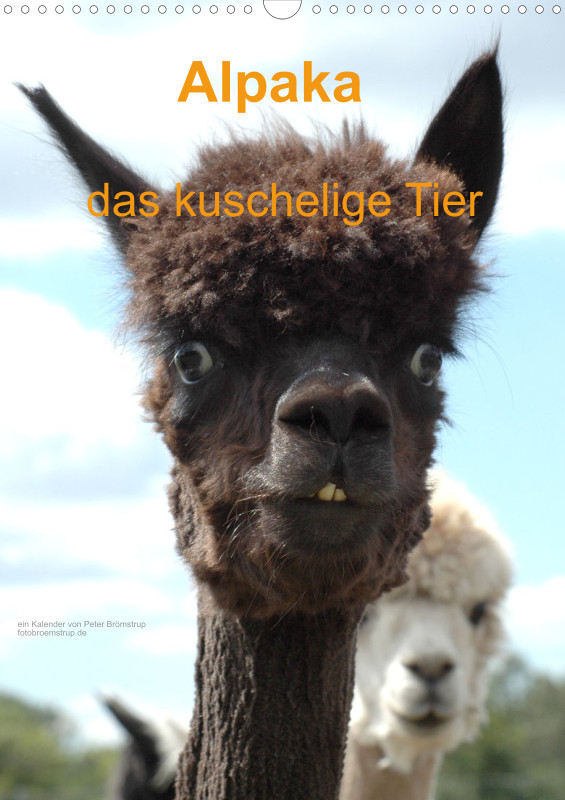 Alpaka, das kuschelige Tier A4 (DE)