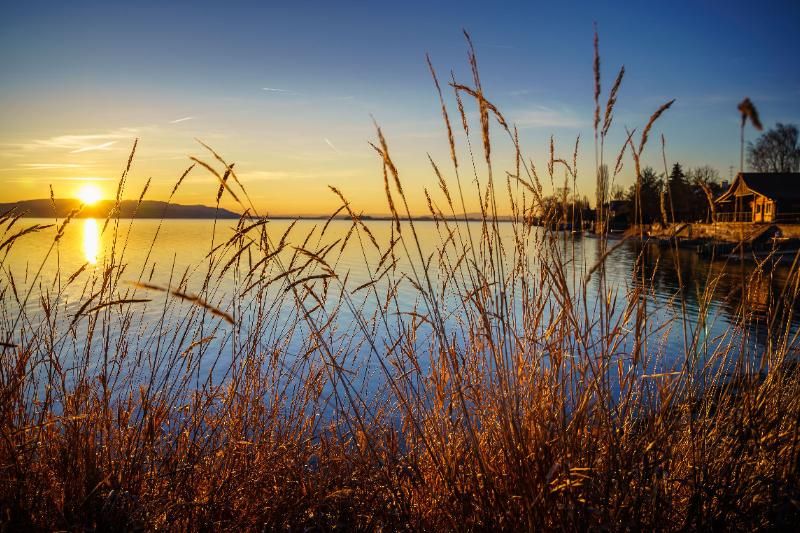 Sommer am Bodensee