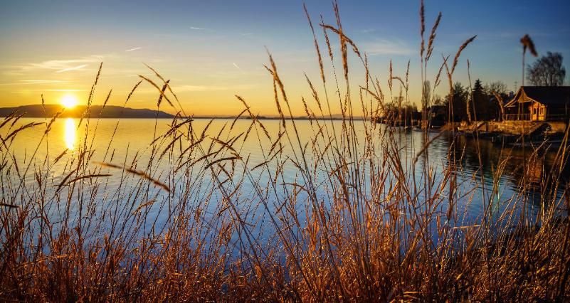 Bodensee Karte