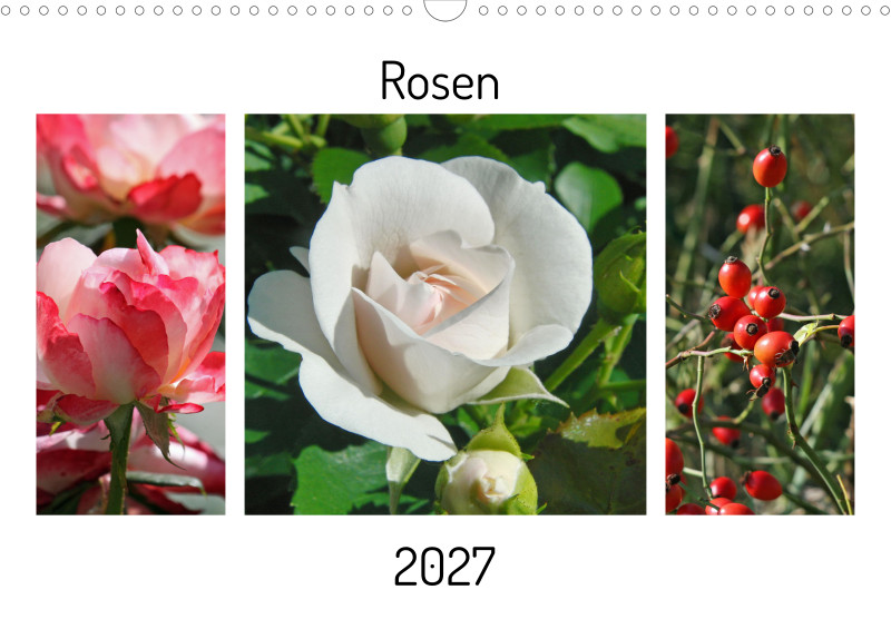 Rosen