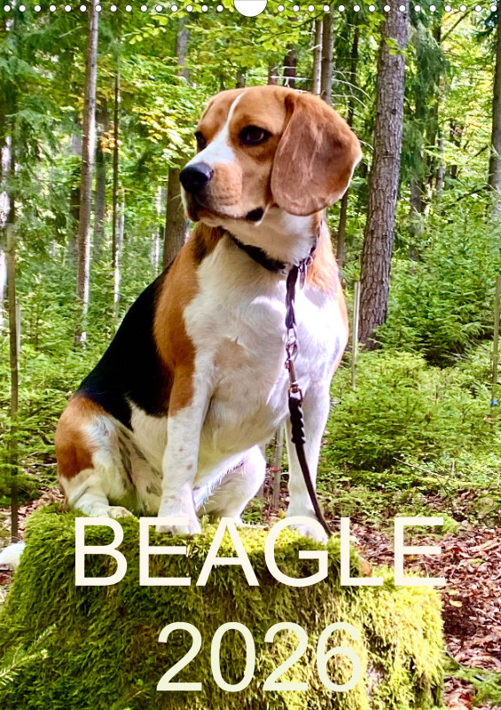 BEAGLE 2026
