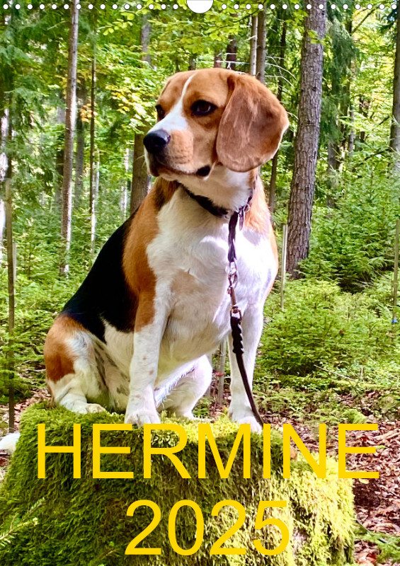HERMINE 2025