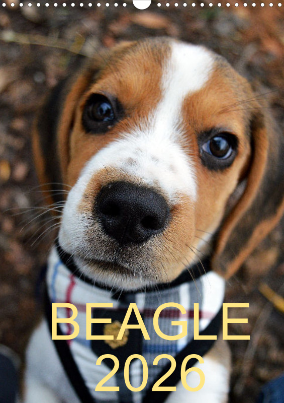 BEAGLE 2026