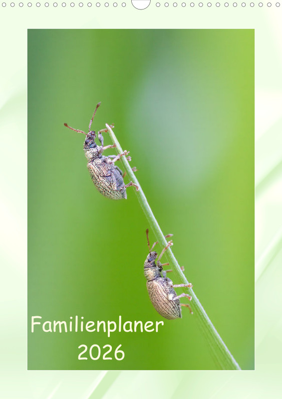 Käfer Familienplaner