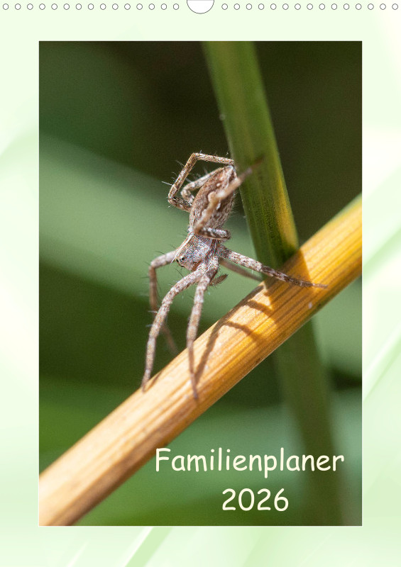 Spinnen Familienplaner
