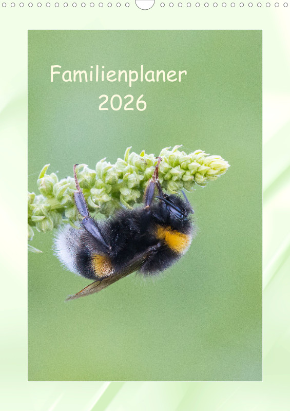 Bienen/Hummeln Familienplaner