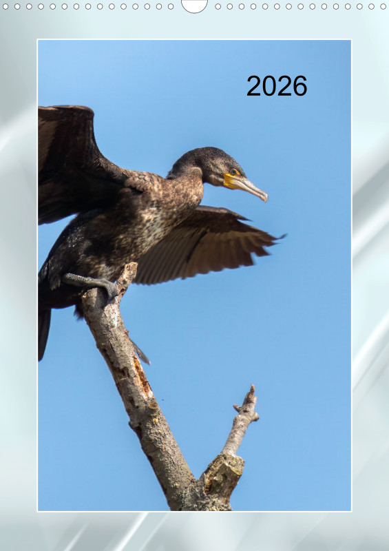Vögel am Wasser Familienplaner