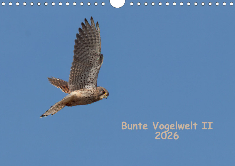 Vögel II