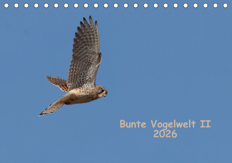 Vögel II