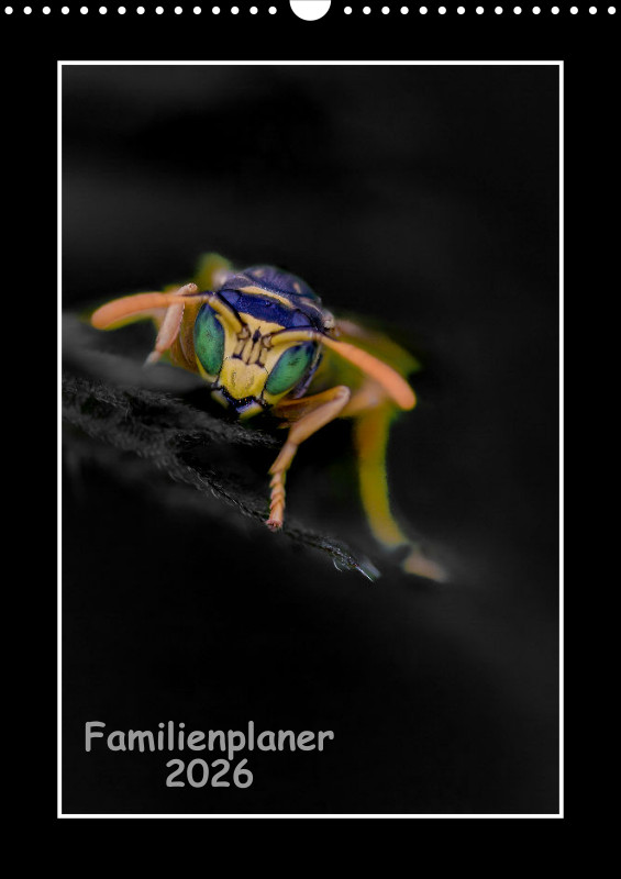 Colorkey Familienplaner