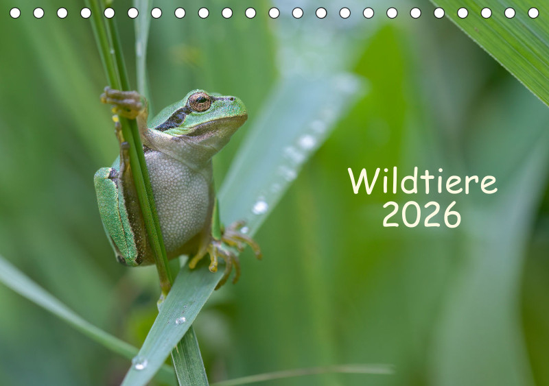 Wildtiere