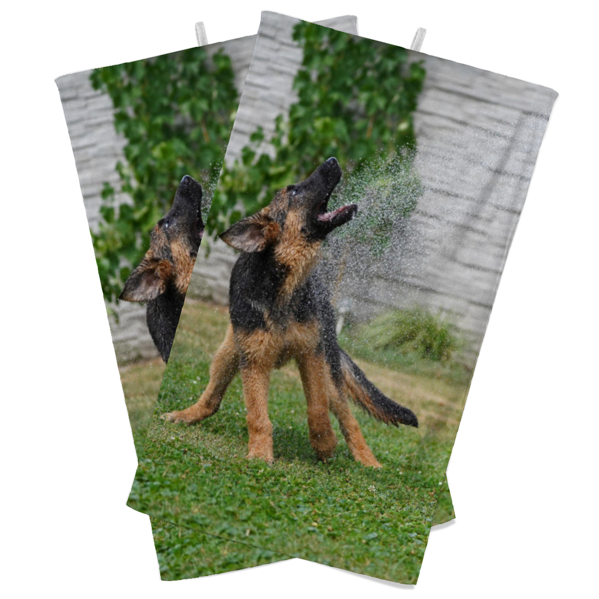 Gästehandtuch Schäferhund unter Dusche