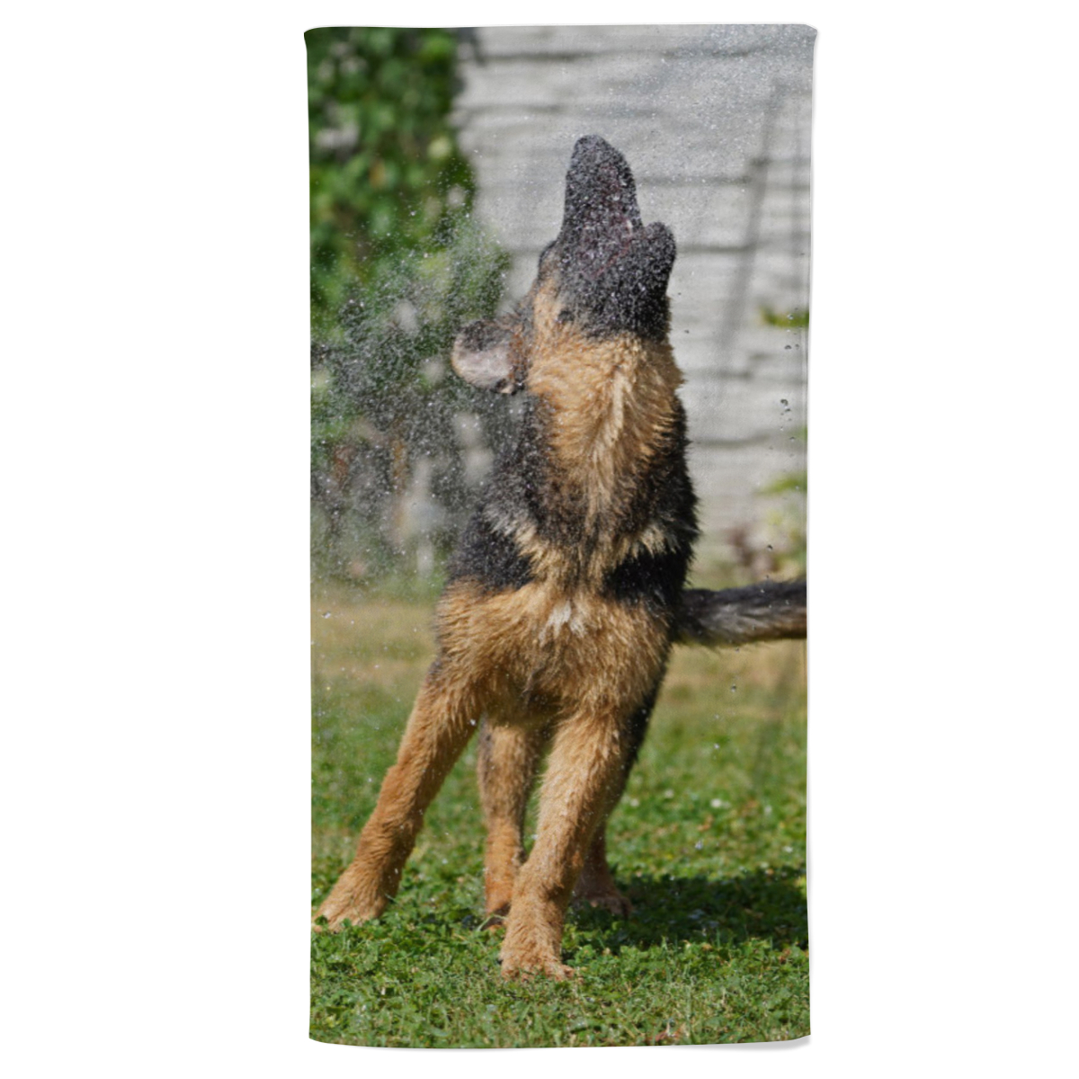 Duschtuch Hund unter Dusche