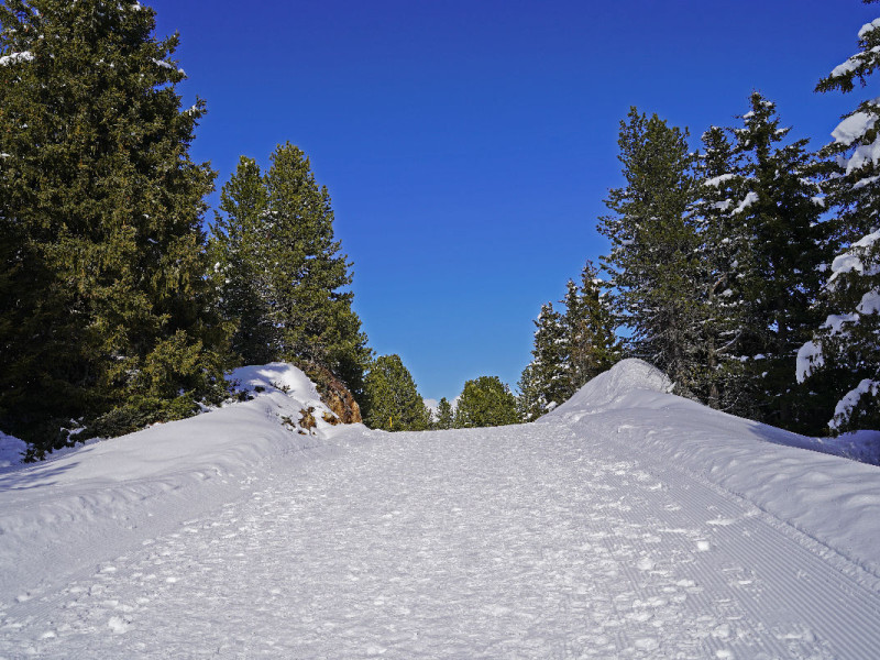 Winterwanderweg in den Tuxer Alpen