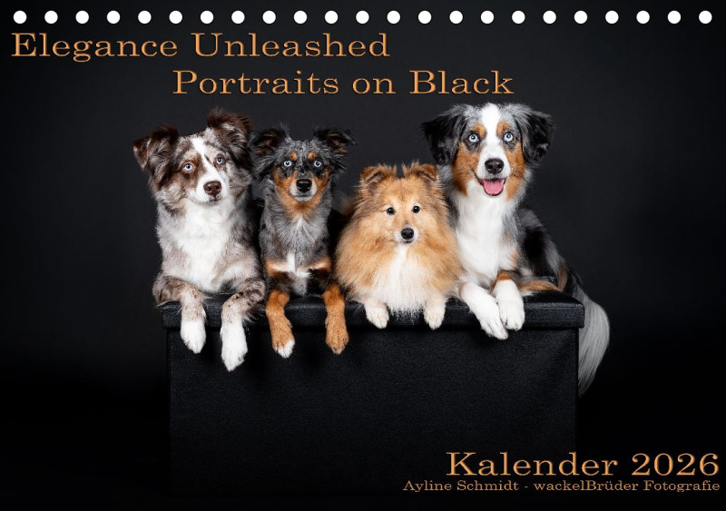 Elegance Unleashed Portraits on Black Tischkalender 2026 A5