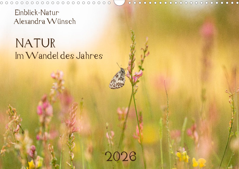 2026- Im Wandel des Jahres (A3)