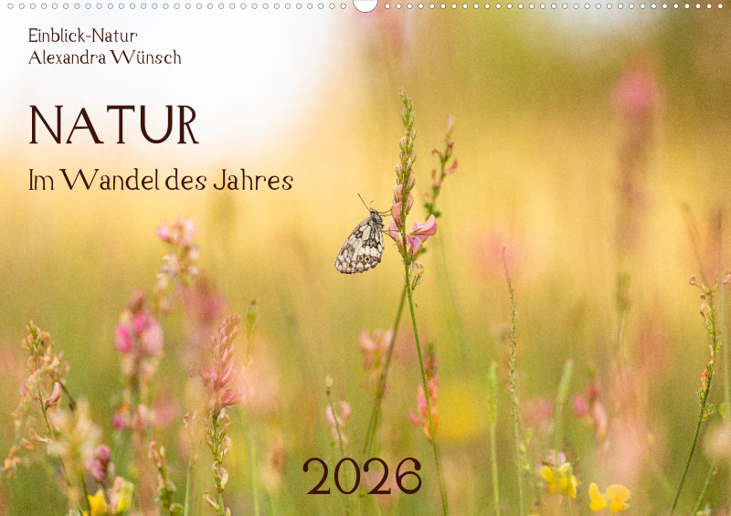 2026 -Im Wandel des Jahres (A2)