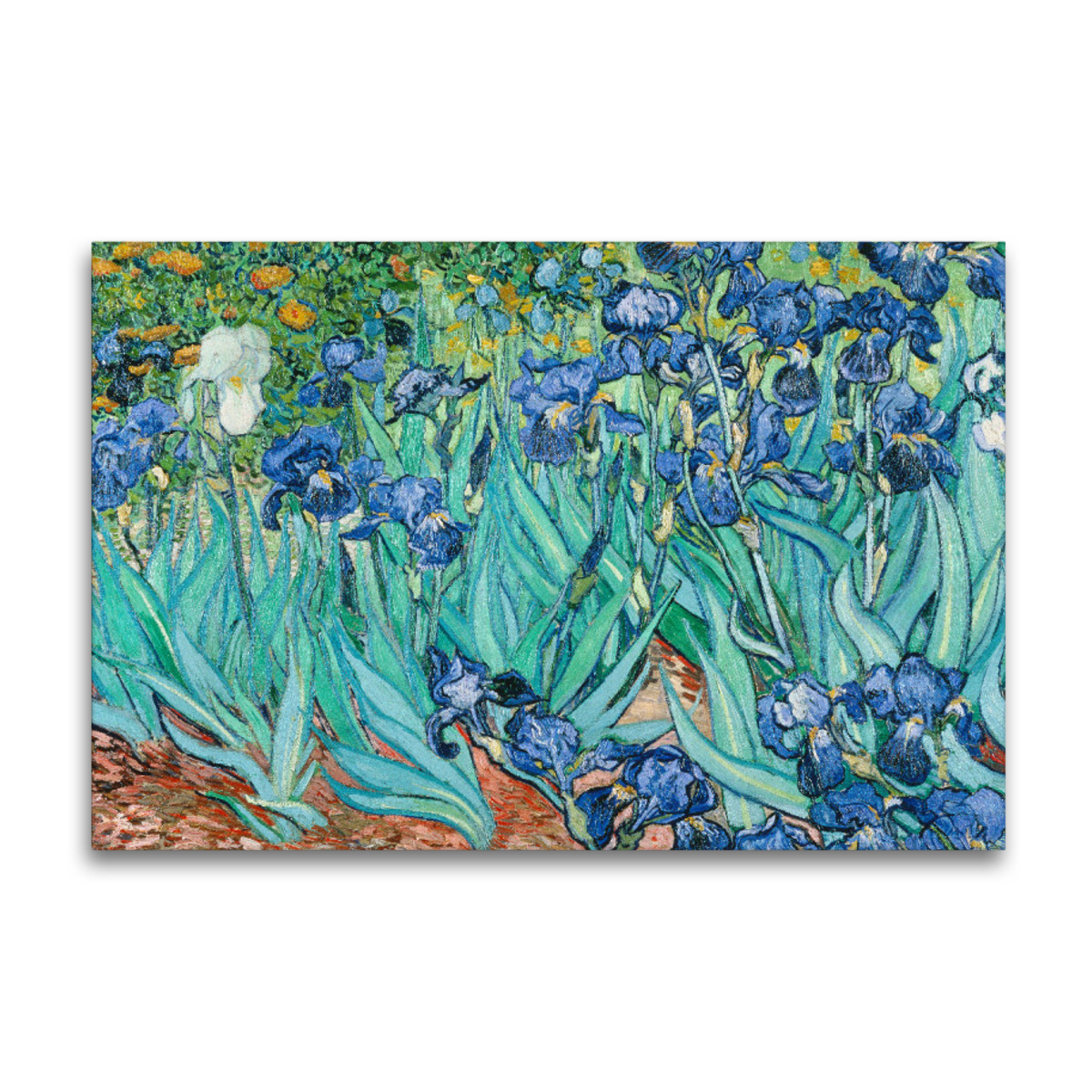 Premium-Leinwand Van Gogh