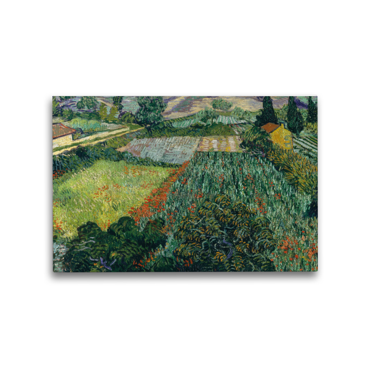 Premium-Leinwand Van Gogh