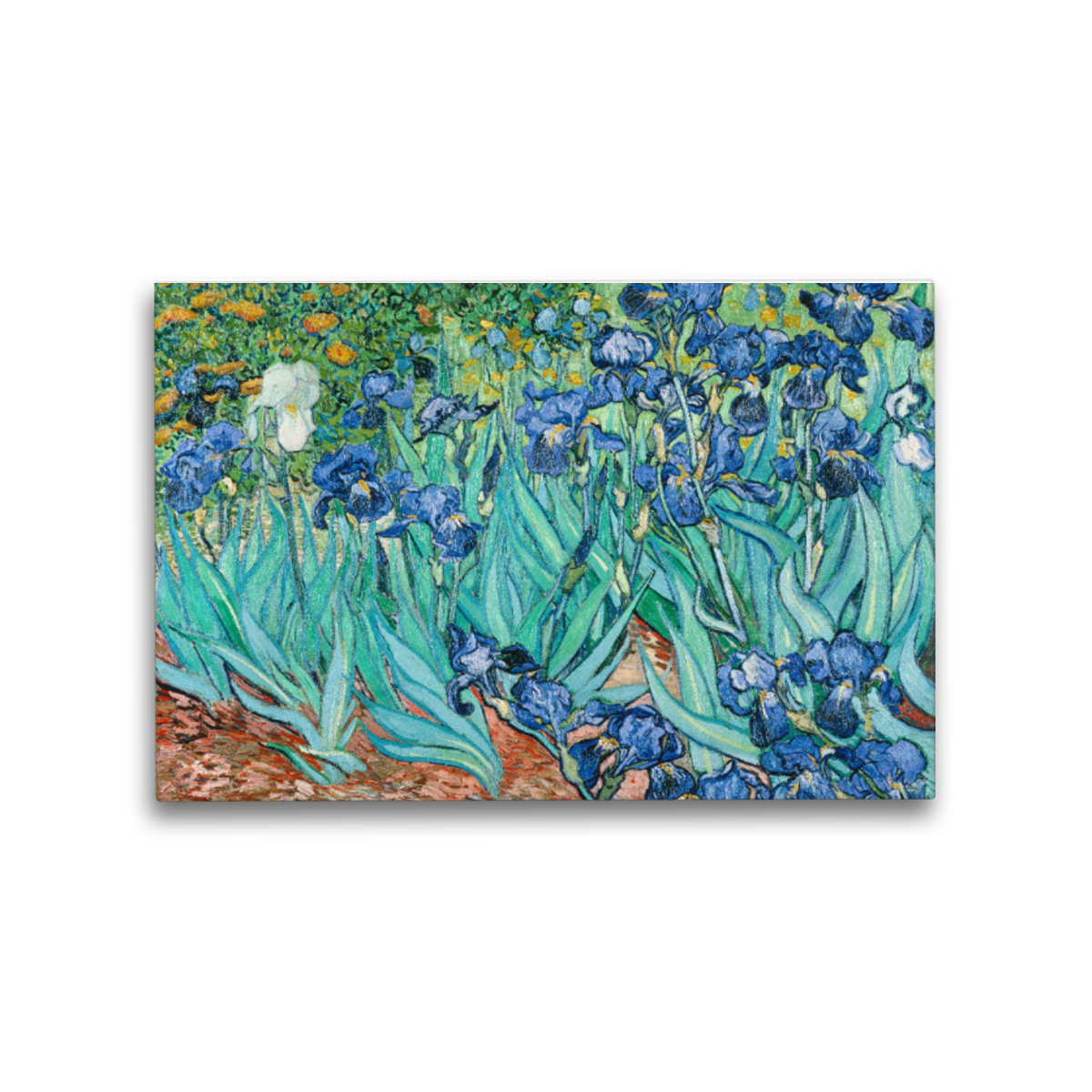 Premium-Leinwand Van Gogh