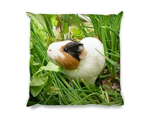 Fotokissen mit beidseitigem Fotodruck Personalisierte Sofakissen nach Maß